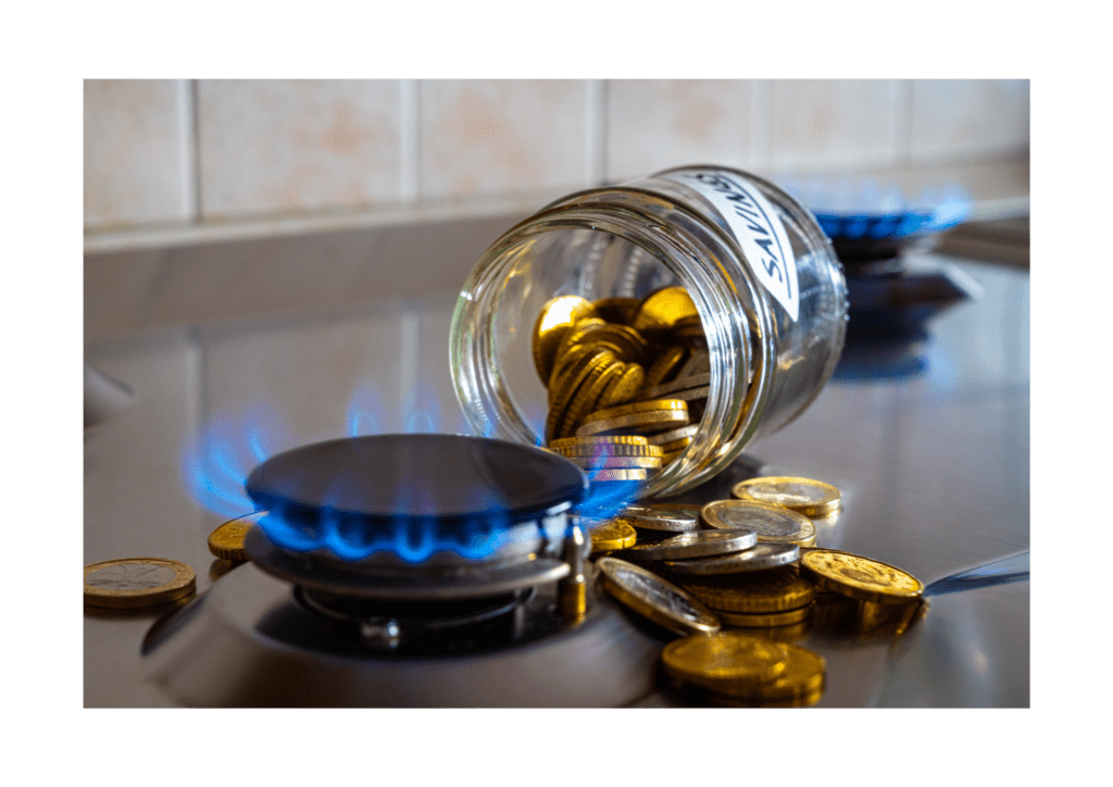 Fiyat Performans Dengesinde Maksimum Değer